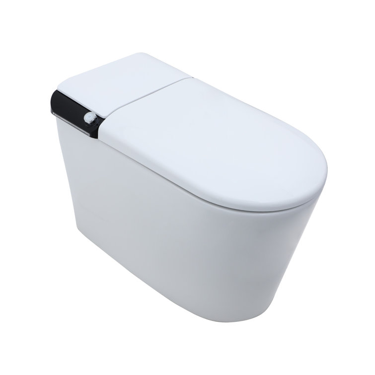 White Ceramic High Efficiency Elongated Bidet Toilet with Heated Seat