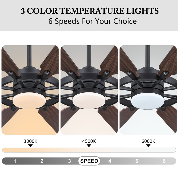 72" Black and Walnut Modern Ceiling Fan with LED Light and Remote