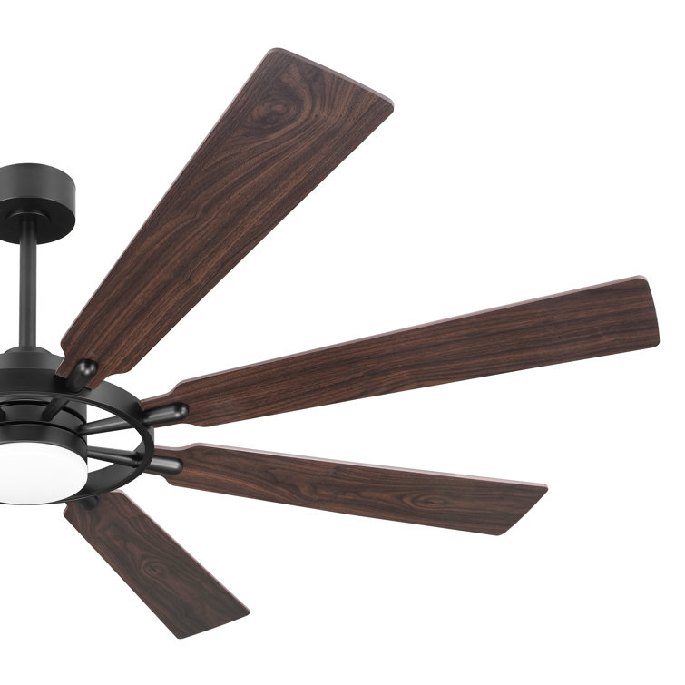 72" Black and Walnut Modern Ceiling Fan with LED Light and Remote