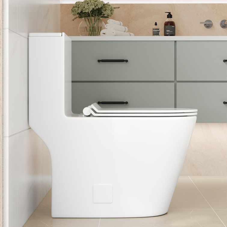 White Ceramic Elongated Dual Flush Toilet with ADA Seat Height
