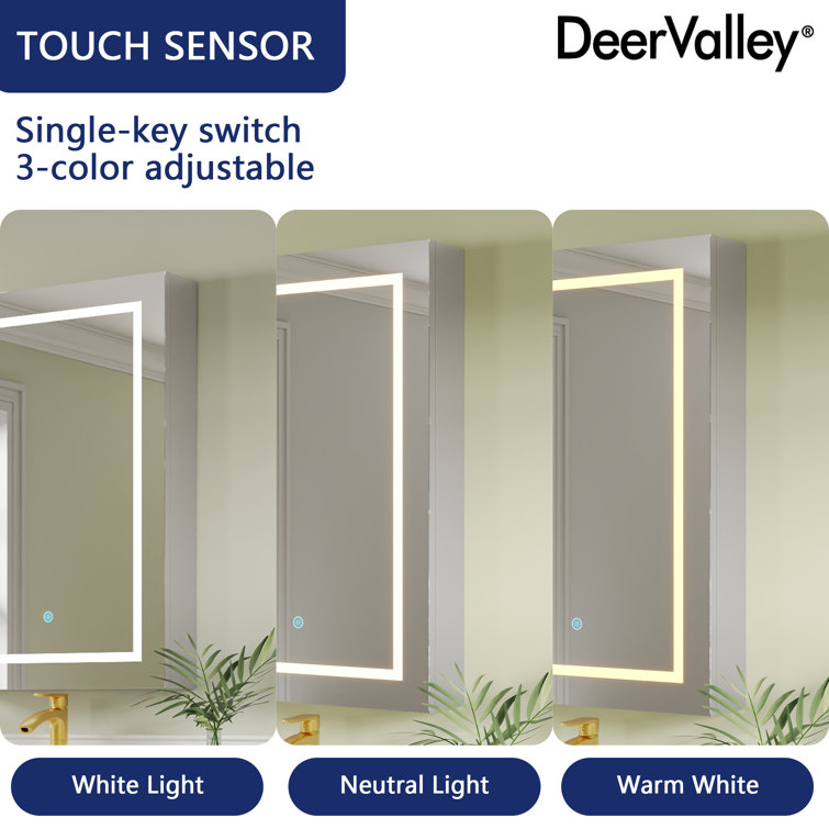 24'' W x 36'' H LED Lighted Wall Mounted Medicine Cabinet with Mirror