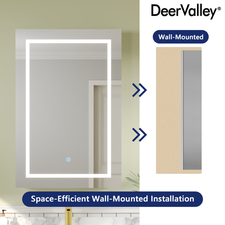 24'' W x 36'' H LED Lighted Wall Mounted Medicine Cabinet with Mirror