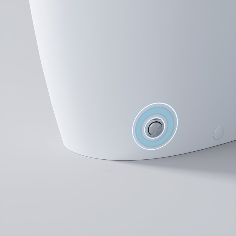 White Elongated Free Standing Non-Electric Smart Bidet Toilet