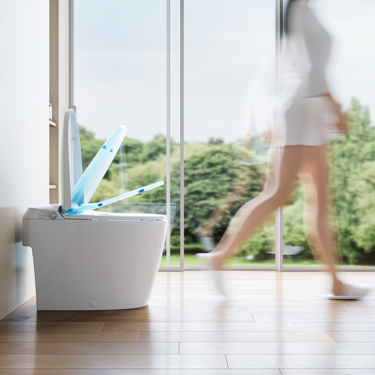 White Elongated Free Standing Non-Electric Smart Bidet Toilet