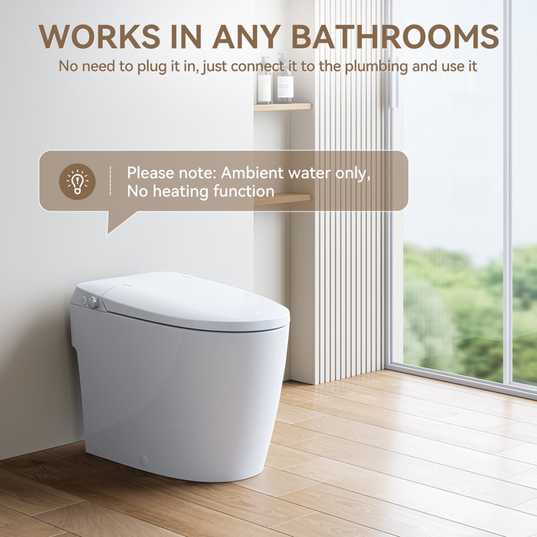 White Elongated Free Standing Non-Electric Smart Bidet Toilet