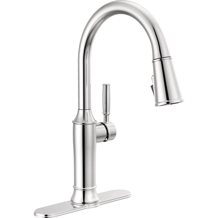 Renaldi Chrome Pull Down Kitchen Faucet with Spray