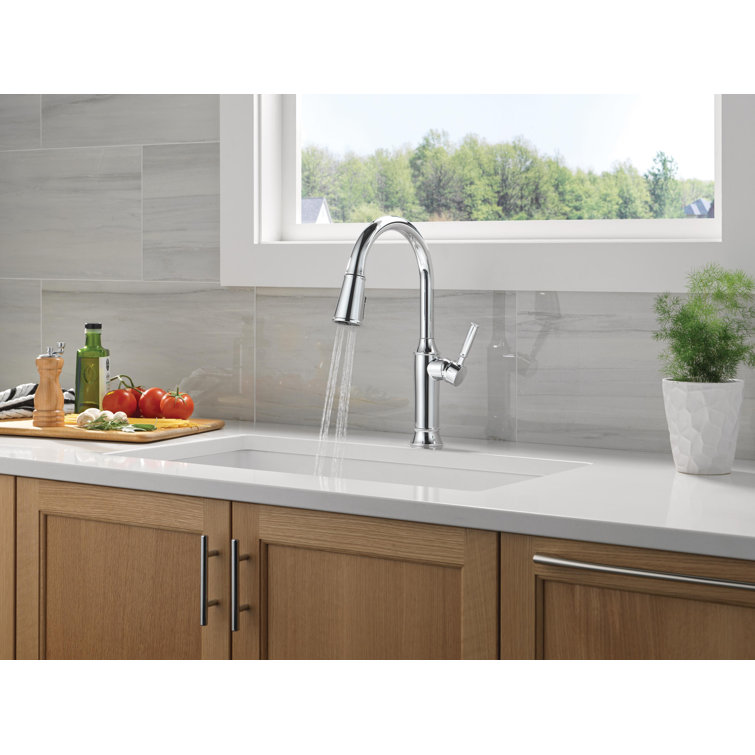 Renaldi Chrome Pull Down Kitchen Faucet with Spray