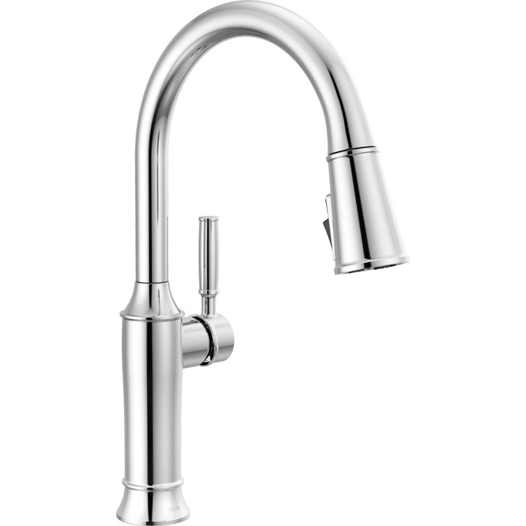 Renaldi Chrome Pull Down Kitchen Faucet with Spray