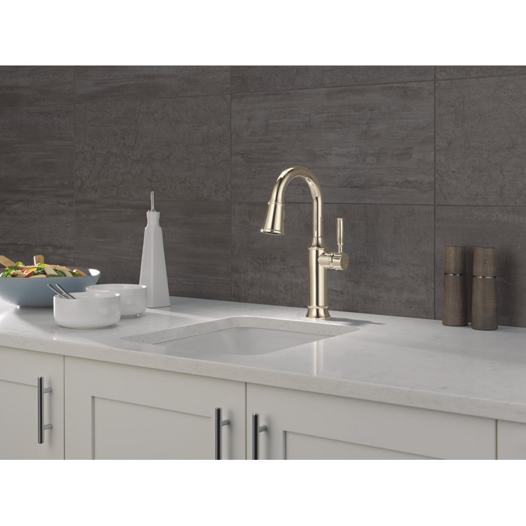 Polished Nickel Single Handle Pull-Out Spray Bar Faucet