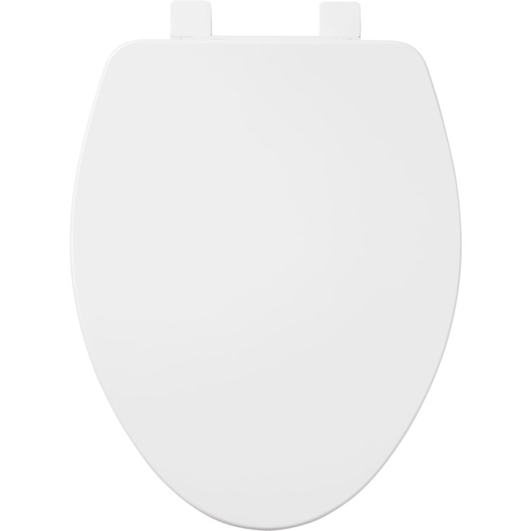 Waycross White Two-Piece Elongated High Efficiency Toilet