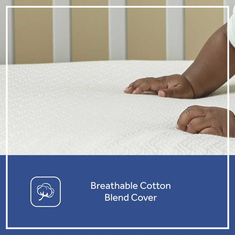 Sealy Baby Posturepedic Grace 2-Stage Hybrid Crib Mattress