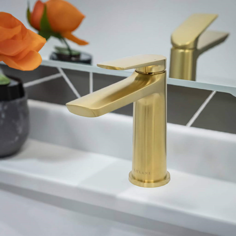 Brushed Gold Single-Handle Brass Bathroom Faucet with Drain Kit