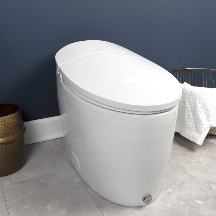 Discovery DLX White Elongated High Efficiency Bidet Toilet