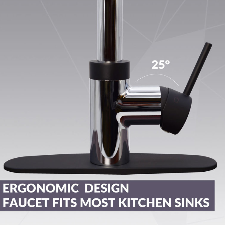 Polished Chrome and Matte Black 3-in-1 Kitchen Faucet with Instant Hot Water Tank