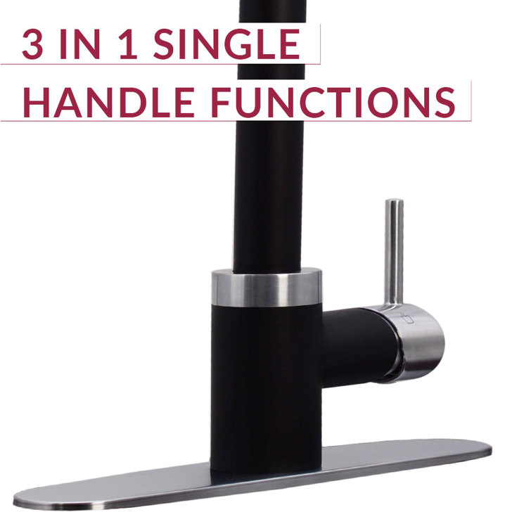 Matte Black and Stainless Steel 3-in-1 Kitchen Faucet with Instant Hot Water Tank