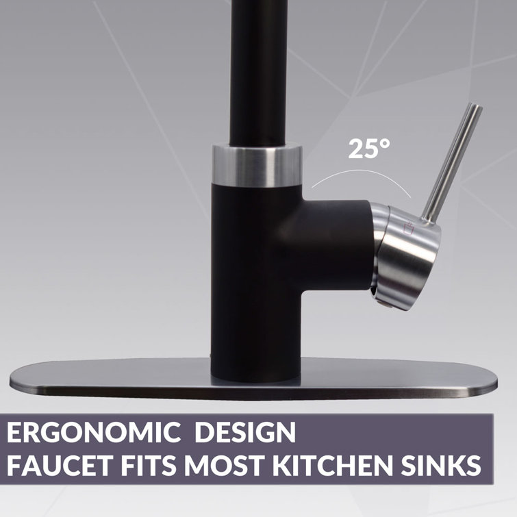 Matte Black and Stainless Steel 3-in-1 Kitchen Faucet with Instant Hot Water Tank