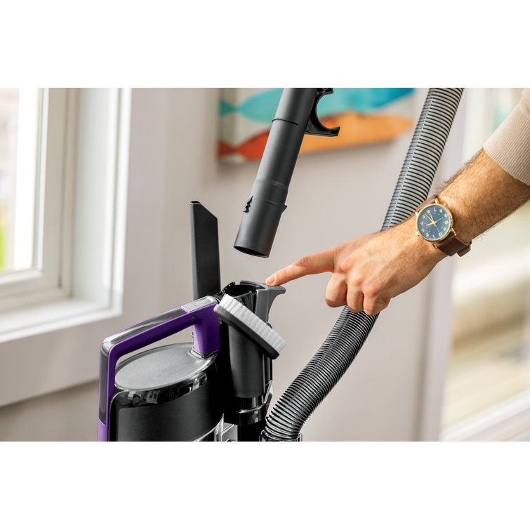 Compact Black and Purple Bagless Upright Vacuum Cleaner for Pets