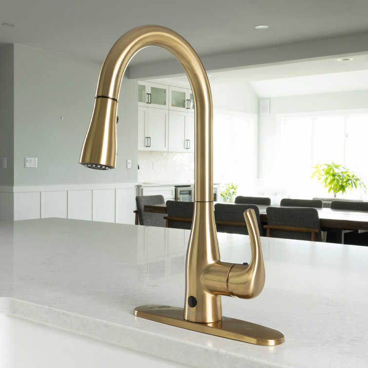 Champagne Brushed Nickel Pull-Down Kitchen Faucet with Spray