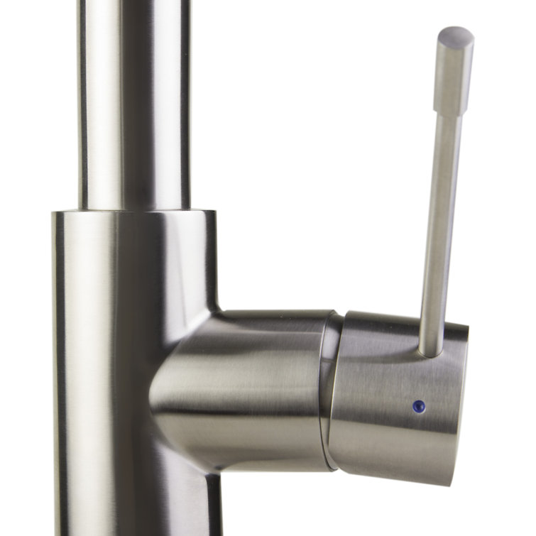 Stainless Steel Gooseneck Kitchen Faucet with Pull-out Spray