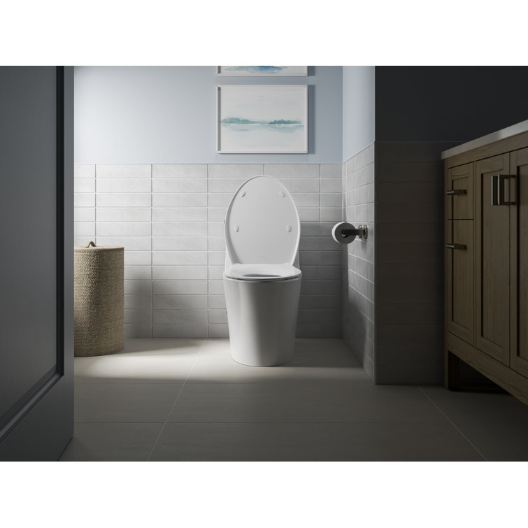 White Thermoset Plastic Quiet-Close Elongated Toilet Seat