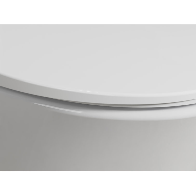 White Thermoset Plastic Quiet-Close Elongated Toilet Seat