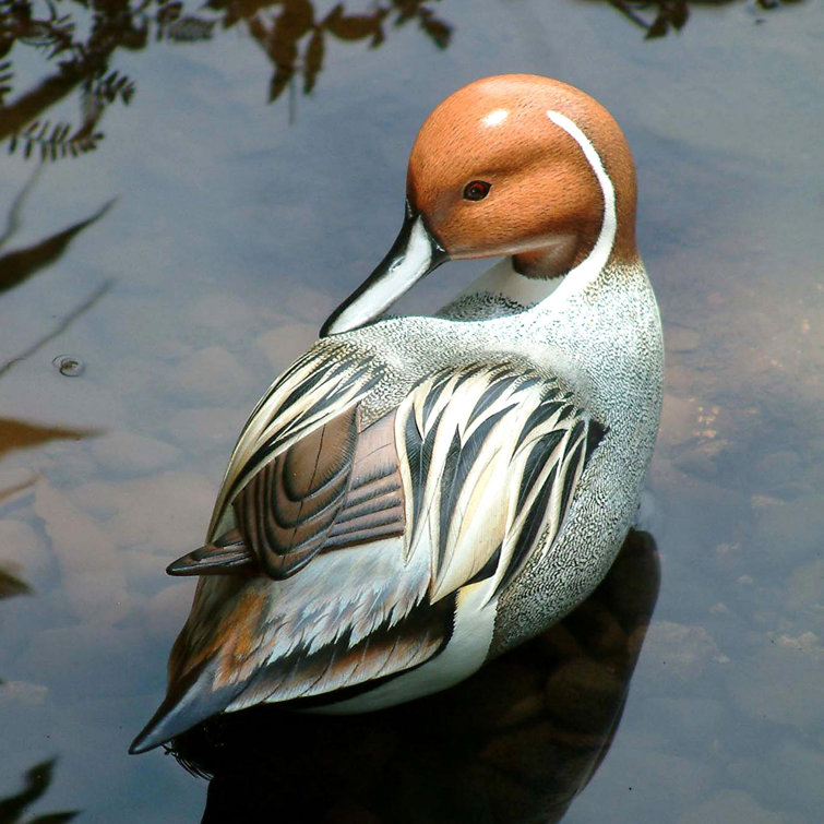 Hand-Painted Albesia Wood Pintail Duck Figurine