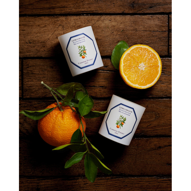 White Citrus Blossom Scented Spring Candle