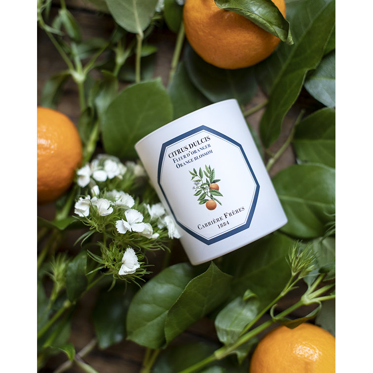 White Citrus Blossom Scented Spring Candle