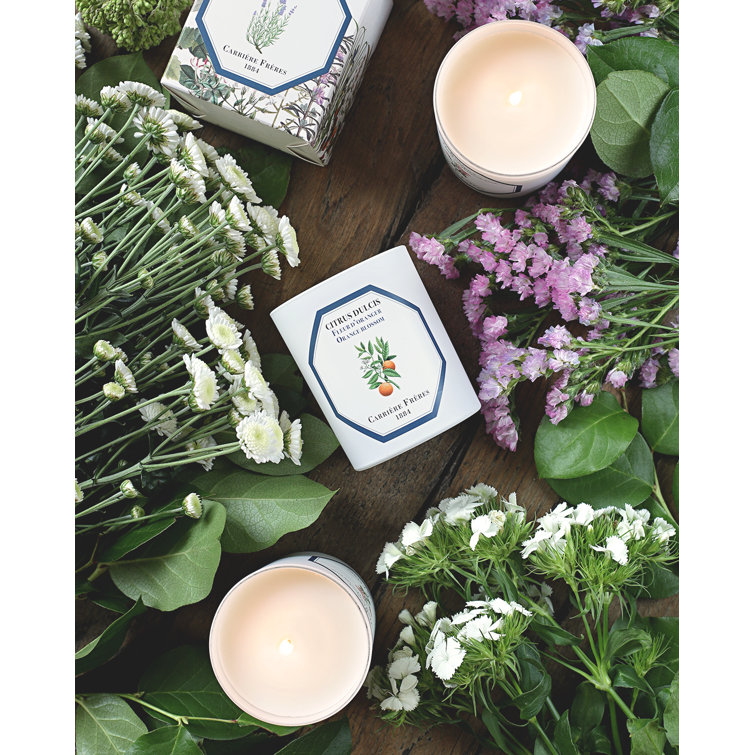 White Citrus Blossom Scented Spring Candle