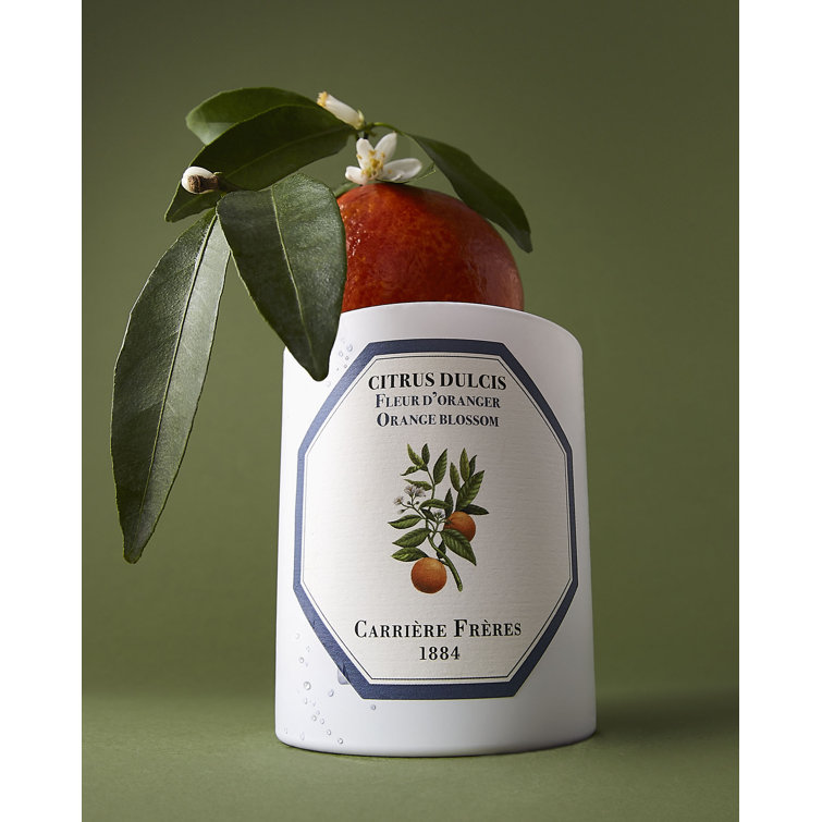 White Citrus Blossom Scented Spring Candle