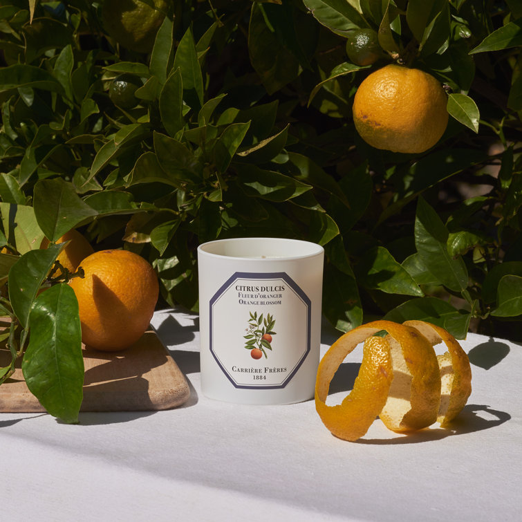 White Citrus Blossom Scented Spring Candle