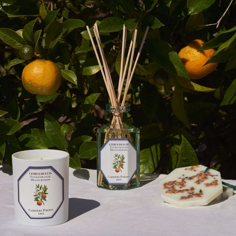 White Citrus Blossom Scented Spring Candle