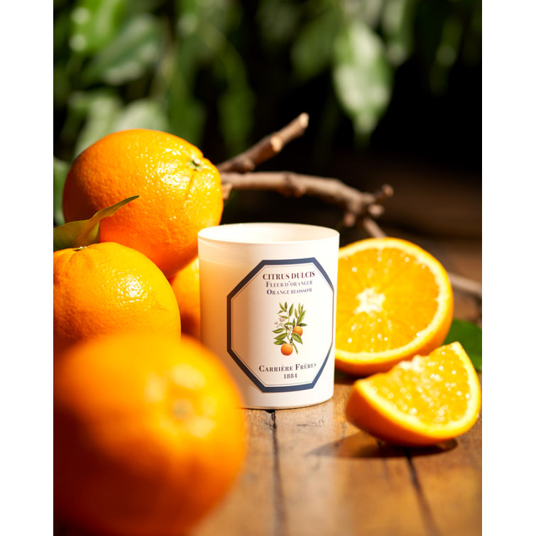 White Citrus Blossom Scented Spring Candle
