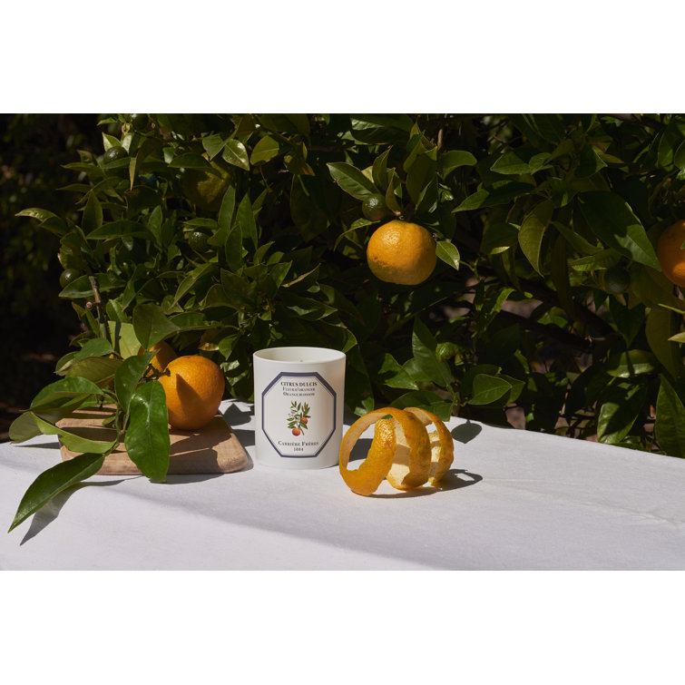 White Citrus Blossom Scented Spring Candle