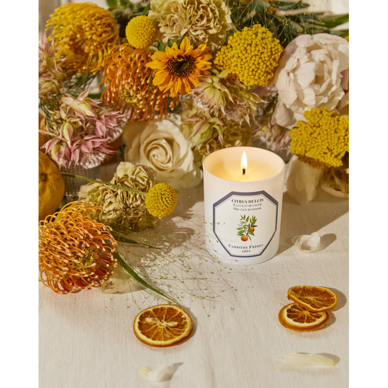 White Citrus Blossom Scented Spring Candle