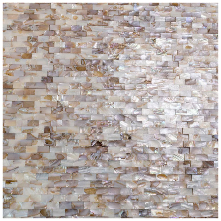Concha 12x12 Polished White and Beige Mother of Pearl Mosaic Tile