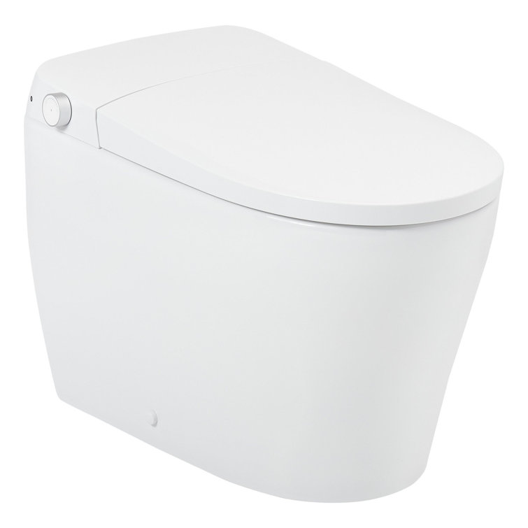 Vela White Ceramic Elongated One-Piece Toilet with Bidet Seat