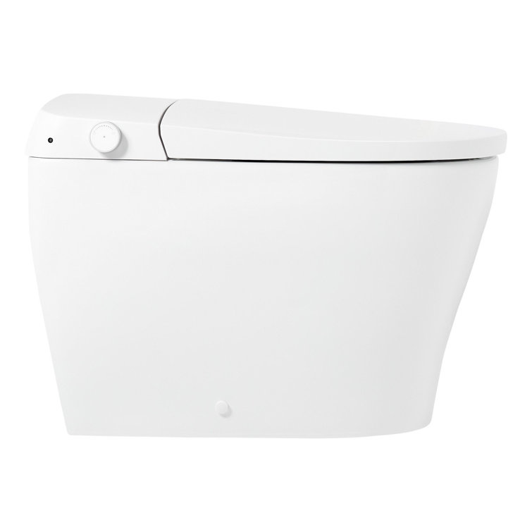 Vela White Ceramic Elongated One-Piece Toilet with Bidet Seat