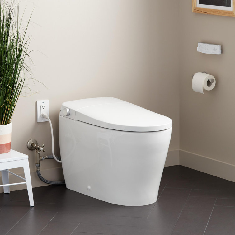 Vela White Ceramic Elongated One-Piece Toilet with Bidet Seat