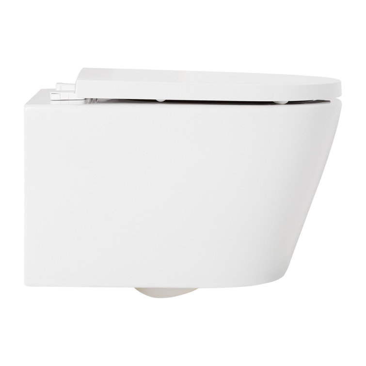 Arnelle Dual Flush Wall Mounted One Piece Elongated Chair Height Toilet with Actuator Plate Flush