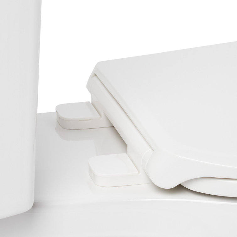 Waycross White Two-Piece Elongated High Efficiency Toilet