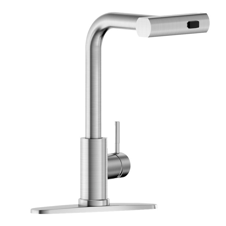 Brushed Nickel Stainless Steel Pull-Out Spray Kitchen Faucet