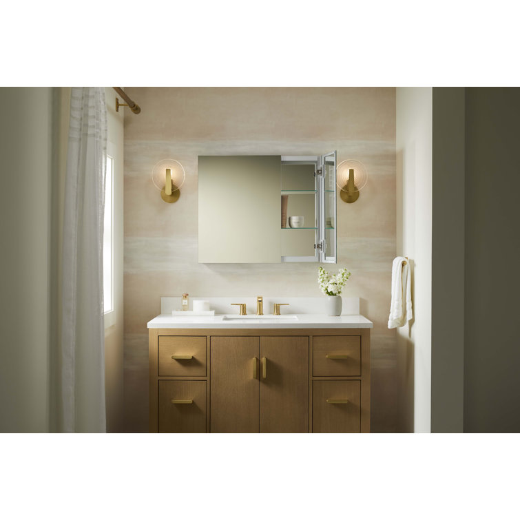 Embark Slim Anodized Aluminum Dual Swing Medicine Cabinet
