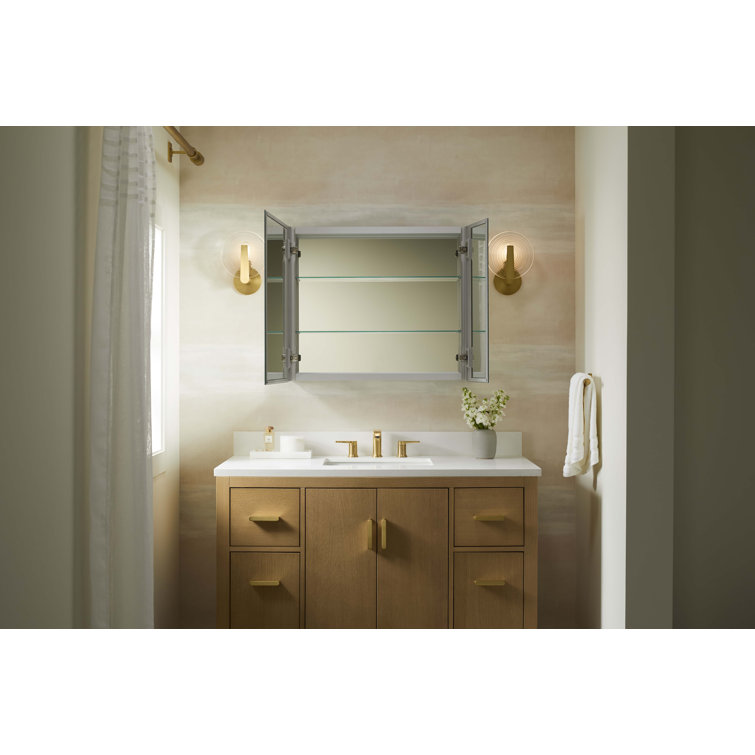 Embark Slim Anodized Aluminum Dual Swing Medicine Cabinet