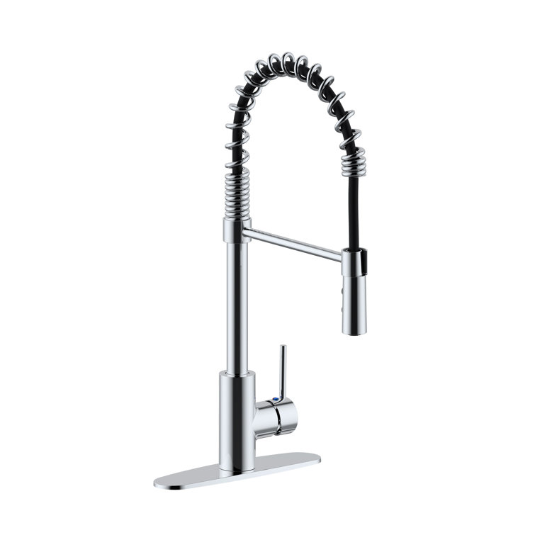 Polished Chrome Farmhouse Single Bowl Kitchen Sink with Faucet