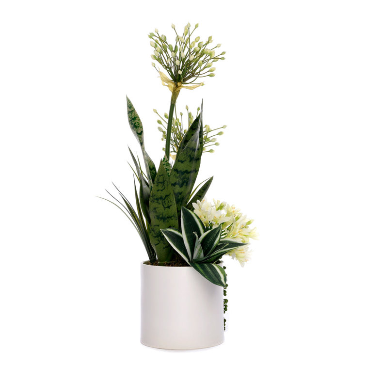 Elegant White Agapanthus Silk Flower Arrangement in Ceramic Planter