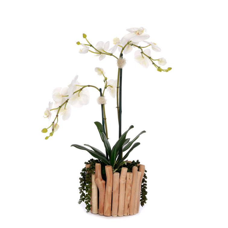 White Orchid Arrangement in Wooden Branch Planter