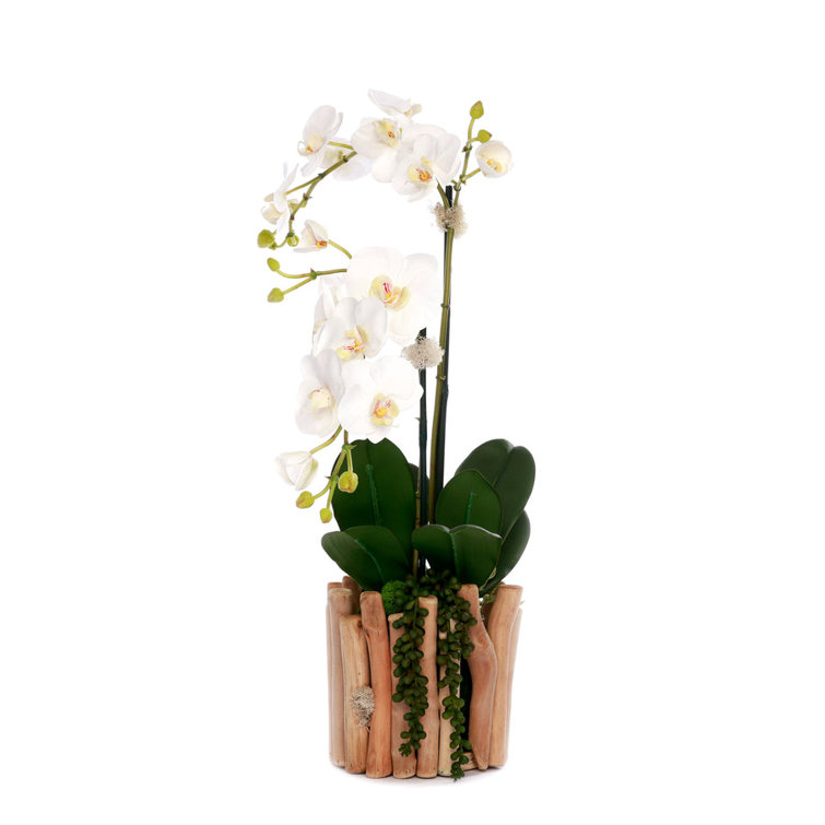 White Orchid Arrangement in Wooden Branch Planter