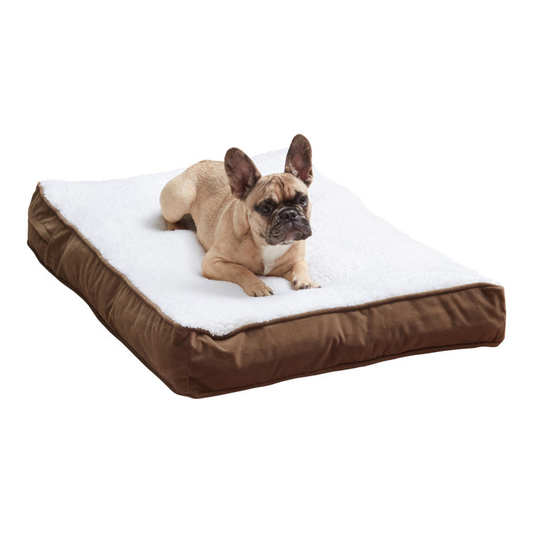 Small Latte Orthopedic Sherpa Dog Bed with Microfiber Cover
