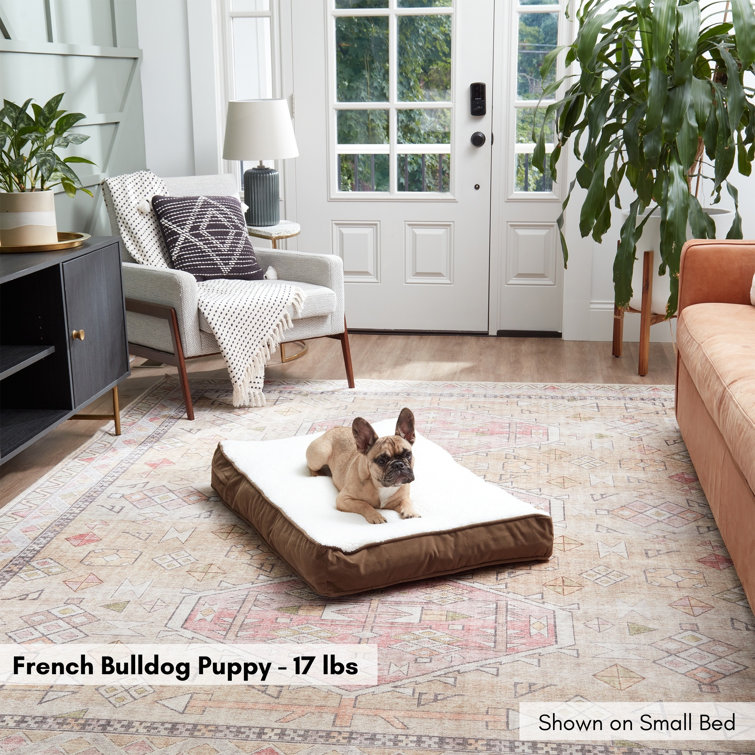 Small Latte Orthopedic Sherpa Dog Bed with Microfiber Cover